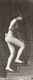 Plate 93 Ascending stairs — figure reference